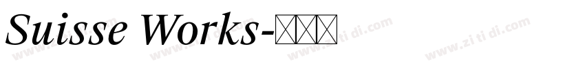 Suisse Works字体转换